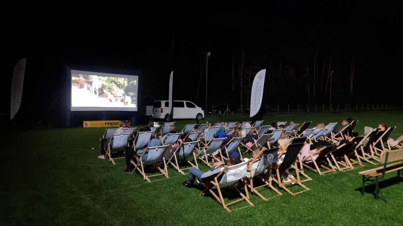 Read more about the article Kino pod gwiazdami – filmowe emocje i sąsiedzka energia